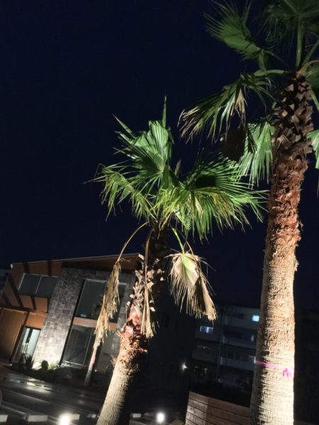 夜のモンテシート