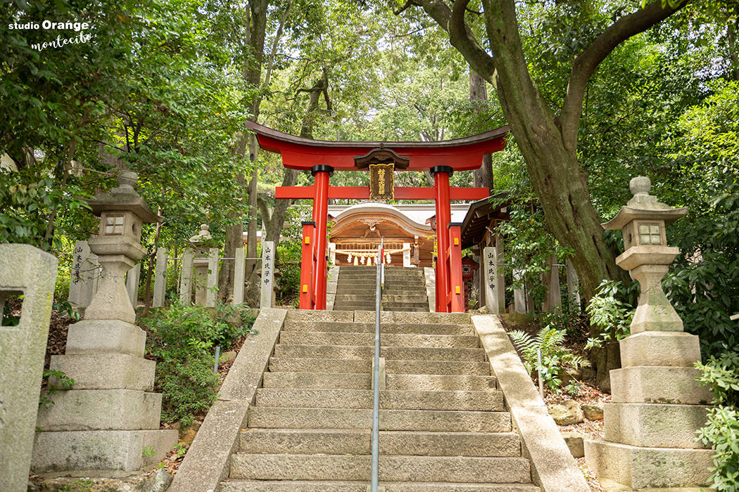 【松尾神社お宮参り出張撮影】