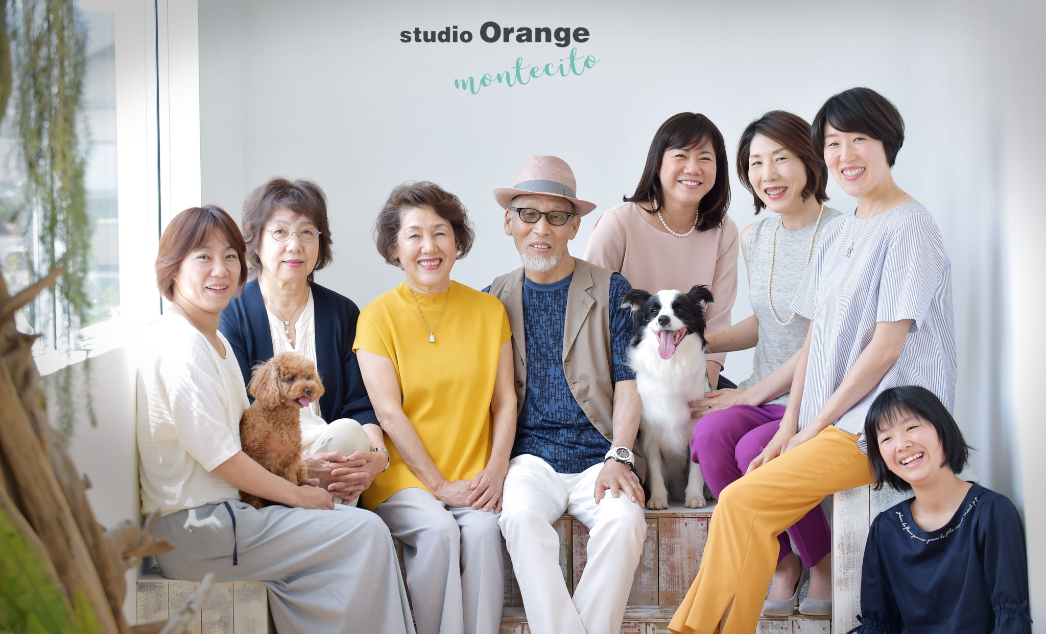 家族であるワンちゃんとの写真で年賀状