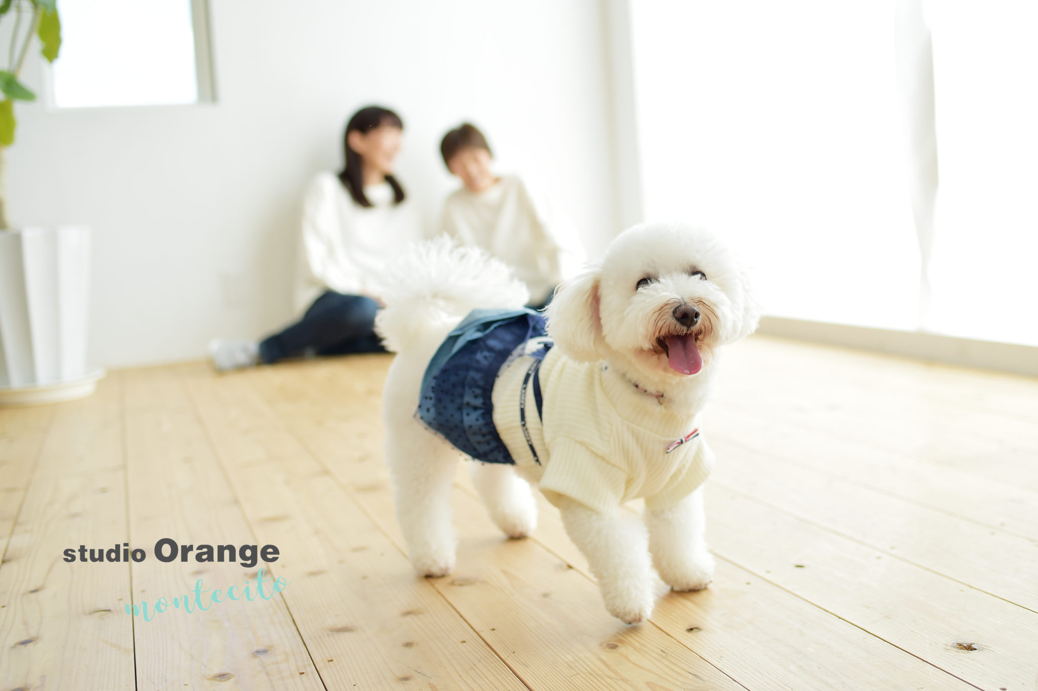 高槻市からワンちゃんとリンクコーデで写真撮影