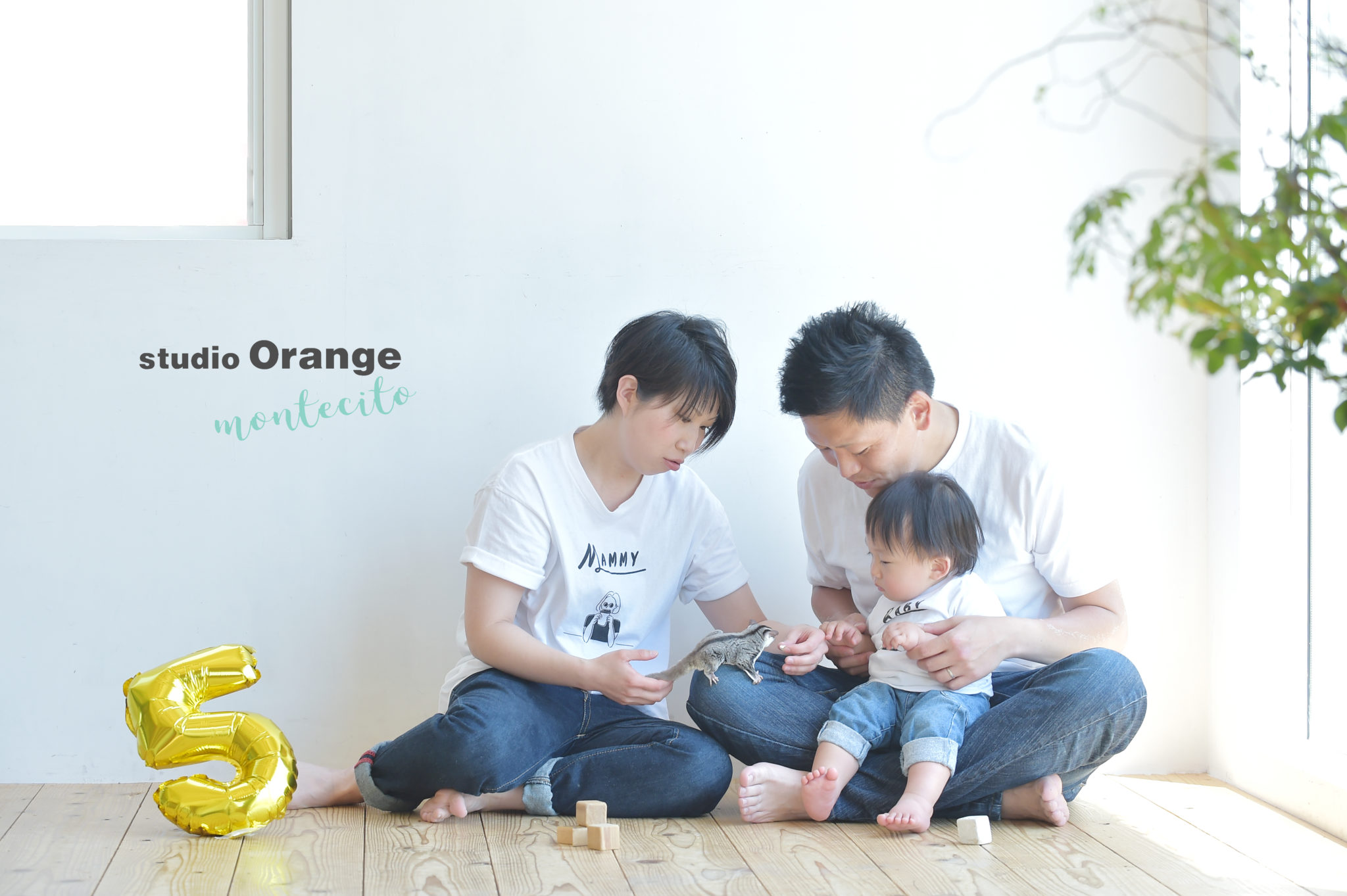 結婚5周年の家族写真は1歳の男の子とフクロモモンガと