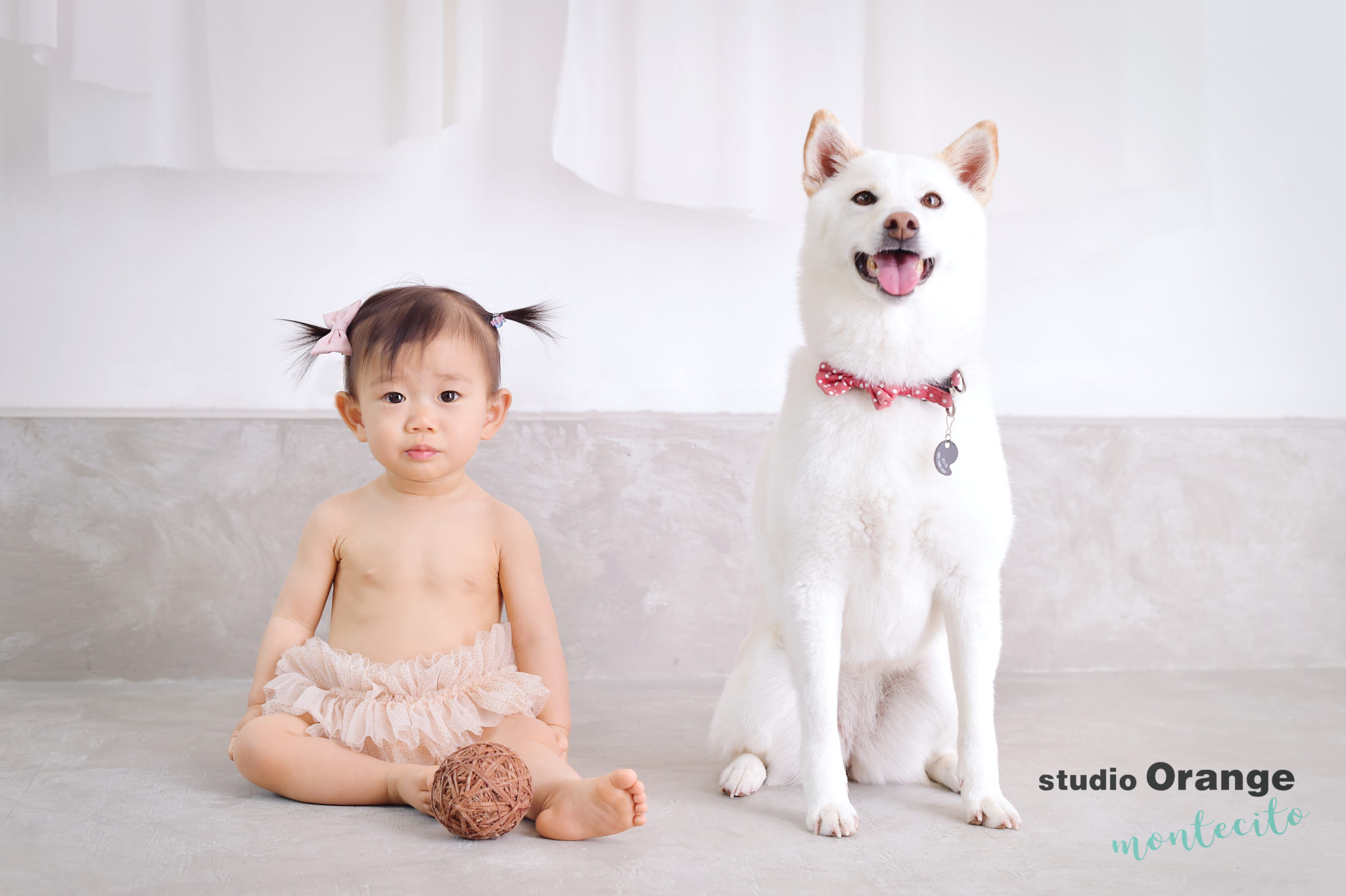 緊急事態宣言が解除されて１日。白い柴犬と１歳女の子のバースデーフォト。