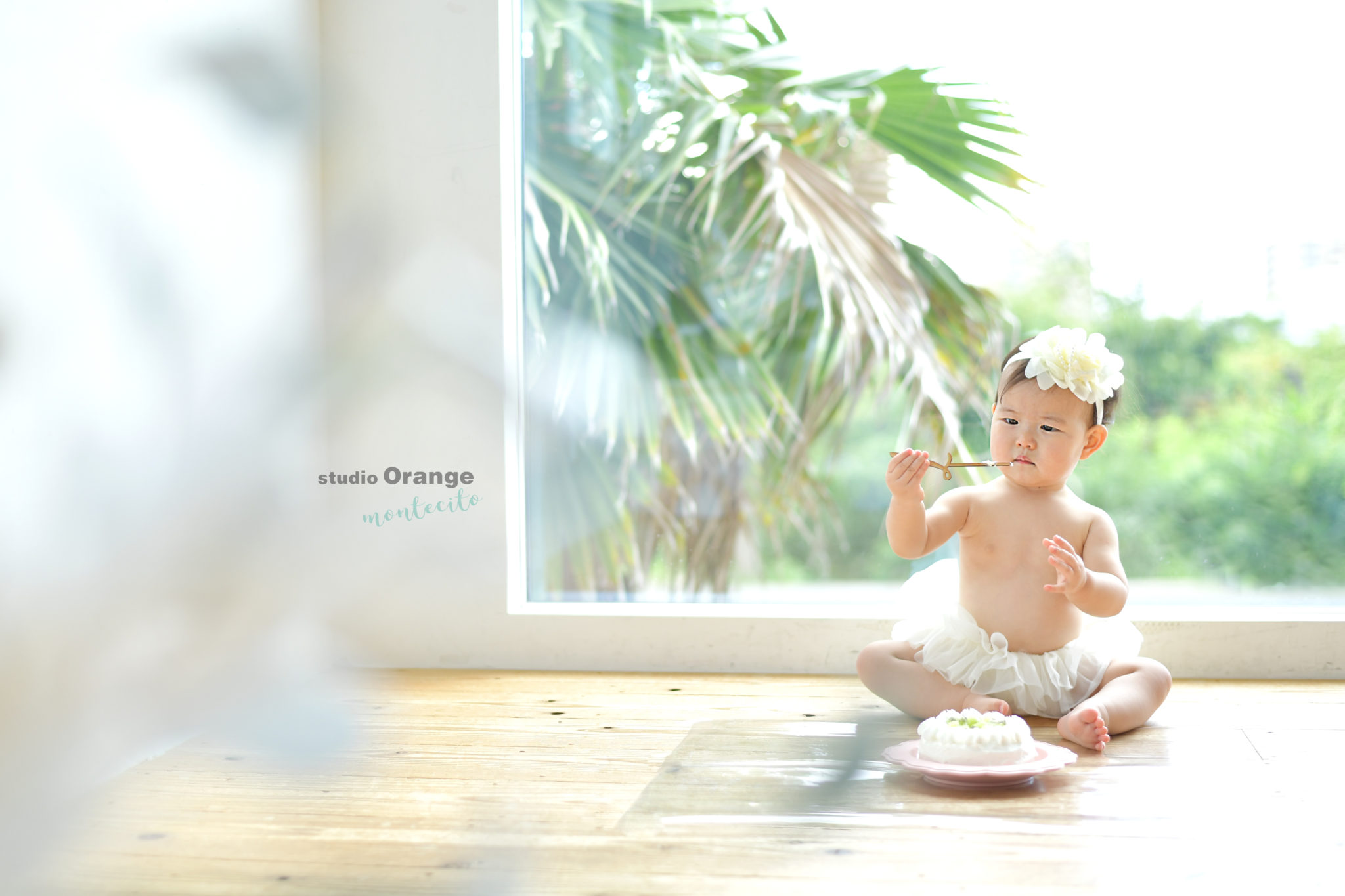 チワワと一緒に１歳お誕生日撮影