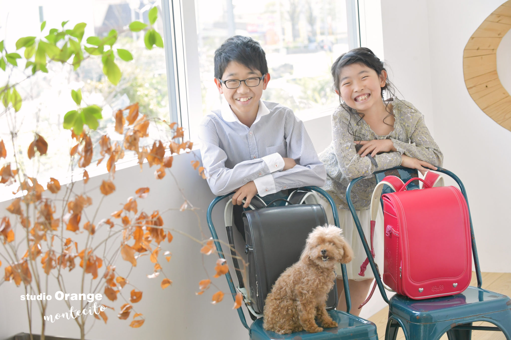 家族で残そう！入学卒業プラン