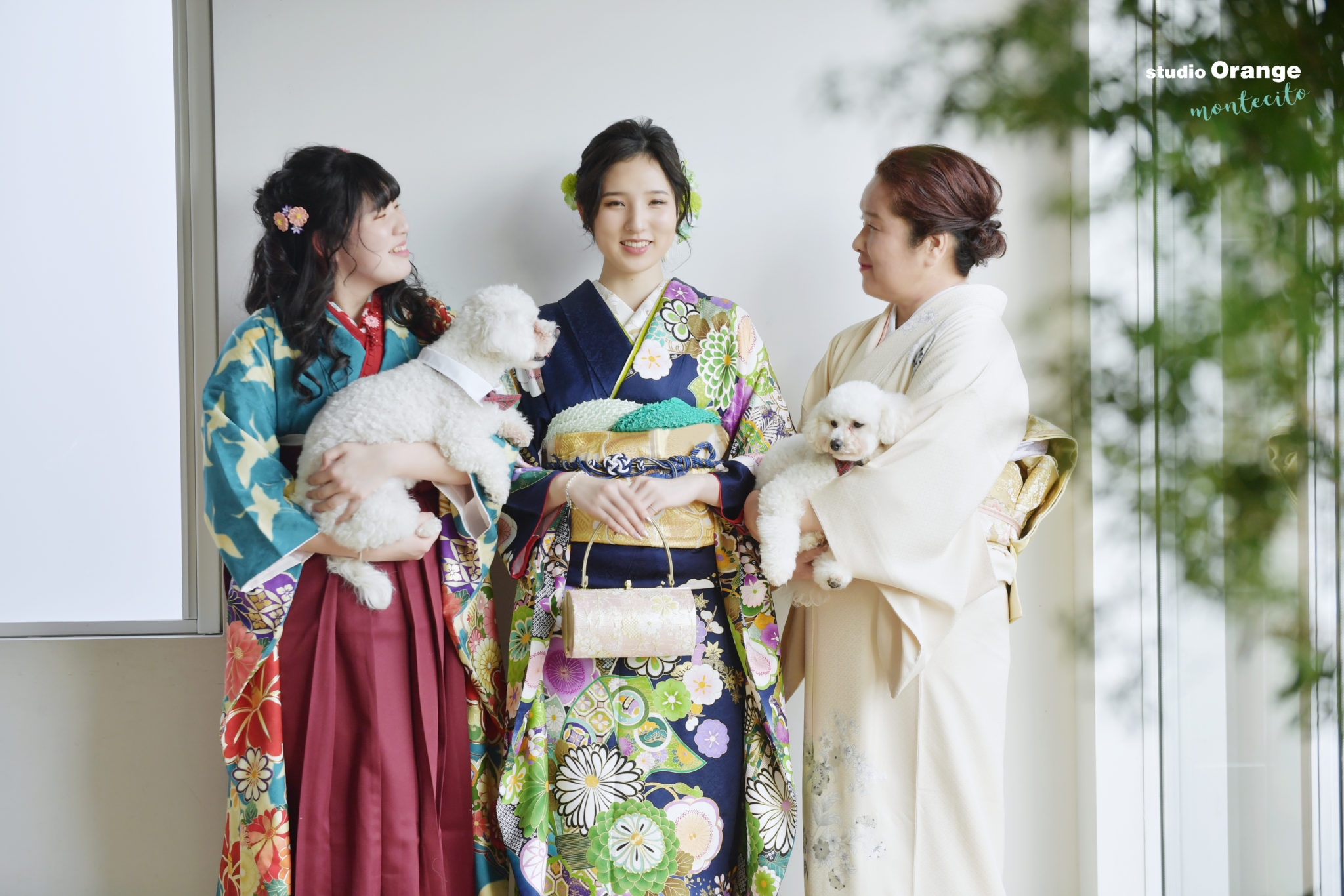 振袖×袴×訪問着で２匹のワンちゃんと成人後撮り撮影！