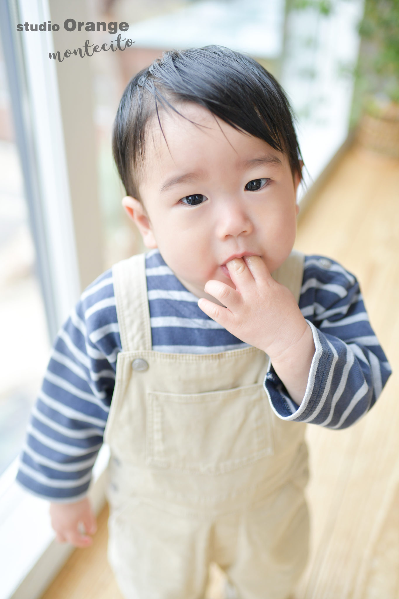 うちの子人見知りだけど撮影できるかしら？