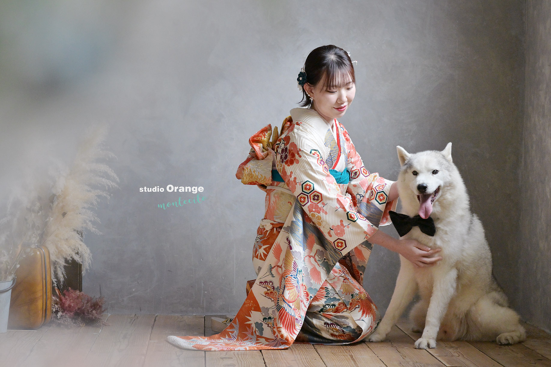 大型犬と一緒に成人式撮影