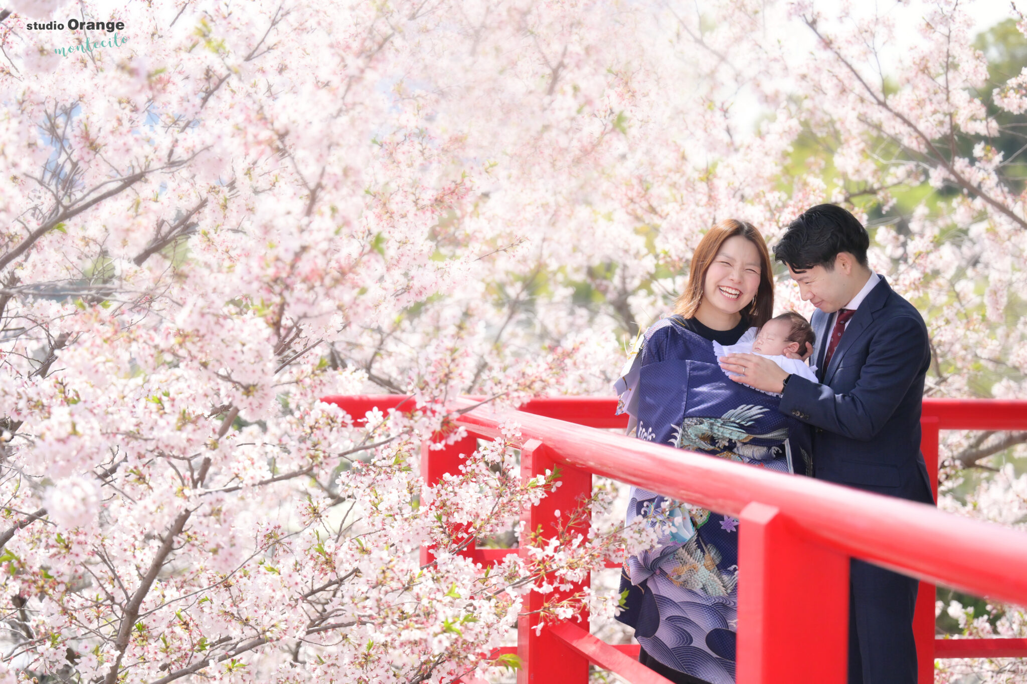春の中山寺出張撮影はどんな写真が撮れる？