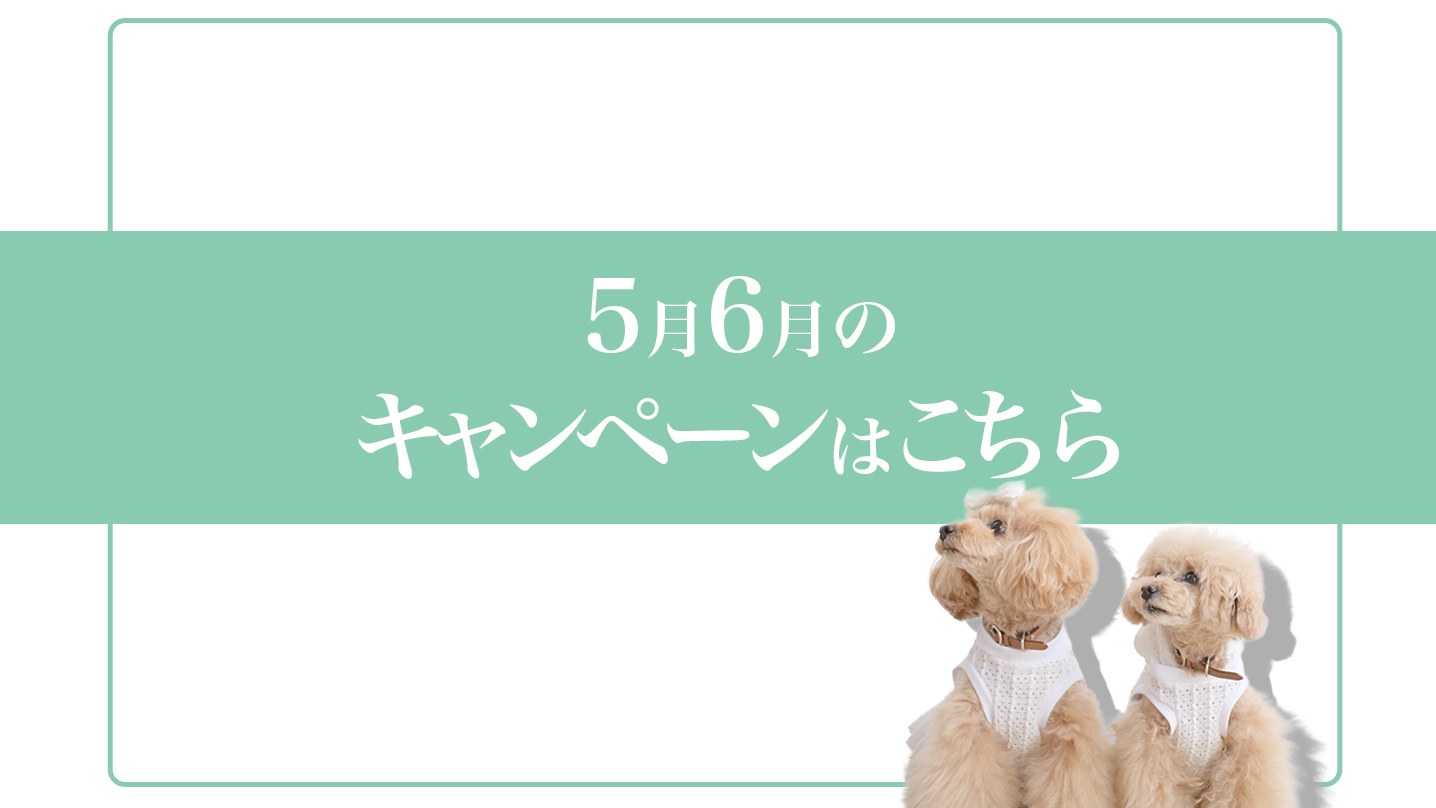 【5月6月のお得なキャンペーンまとめ】