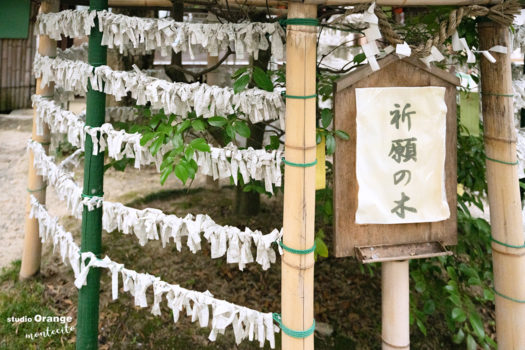 売布神社　祈願の木