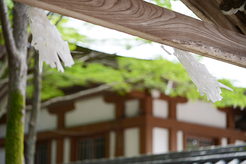 多田神社　風景　お宮参り