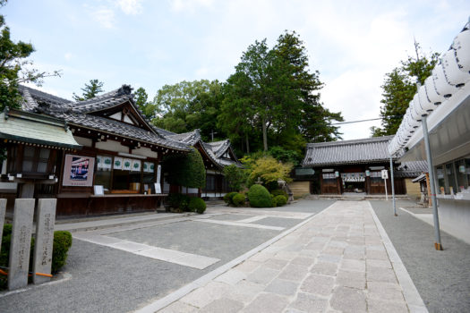 多田神社　風景　七五三詣り