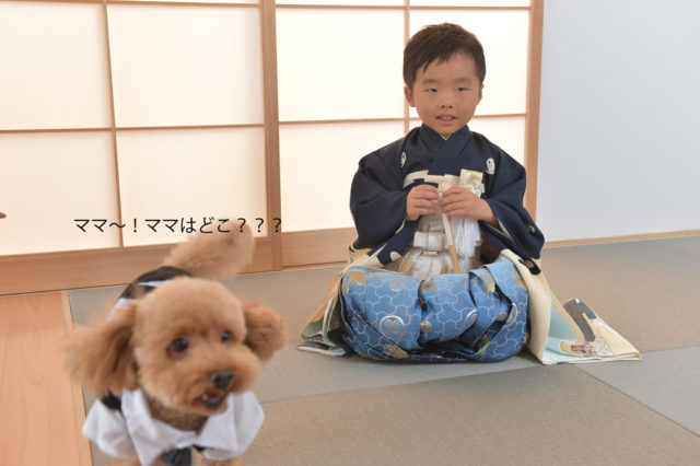 七五三　犬と一緒　西宮市