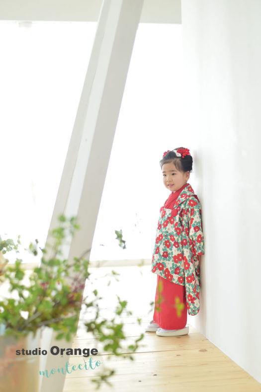 宝塚市　七五三　3歳女の子　椿柄　被布コート