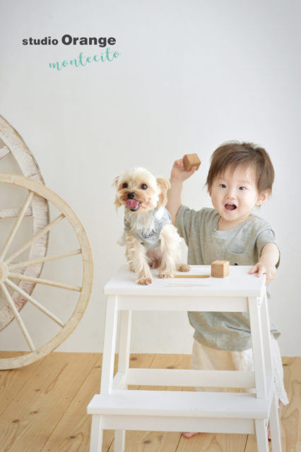 宝塚　1歳　バースデーフォト　犬　ペット