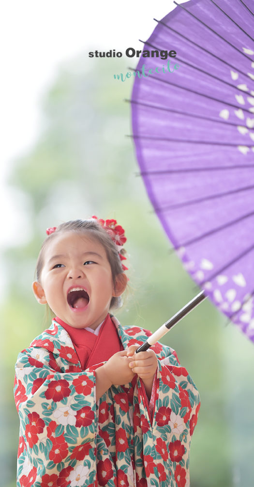 伊丹市　七五三　2歳　女の子　椿柄の着物