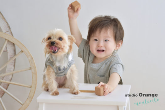 宝塚市　写真館　お誕生日撮影　バースデー　男の子　犬