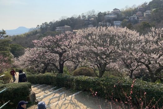 中山寺　中山観音公園