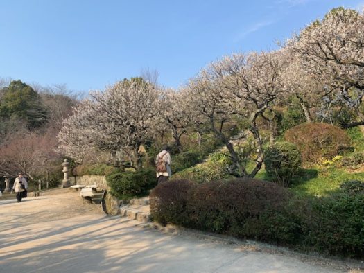  中山寺　観音公園