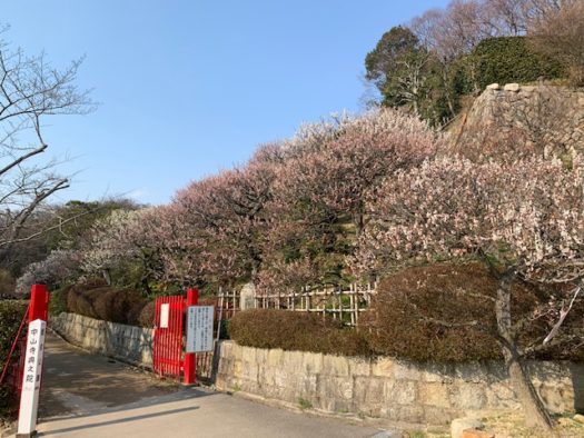 中山寺