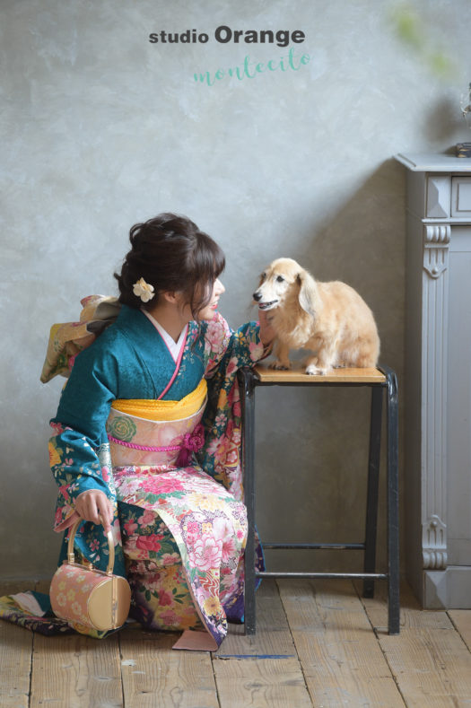 宝塚市　成人式　ダックスフント　犬と写真撮影