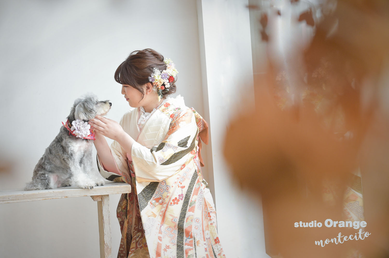 宝塚市　成人式　写真　犬と一緒に撮影　ミニチュアシュナウザー