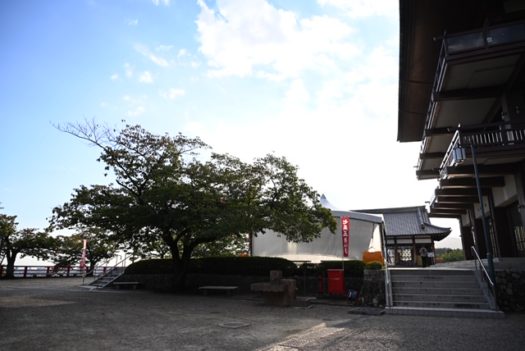 中山寺　七五三　写真中山寺　七五三　写真