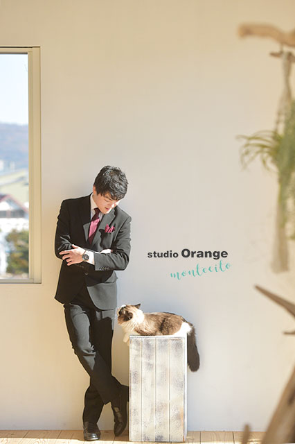 ペットフォト　猫　ラグドール　宝塚市　写真館　スタジオオレンジモンテシート