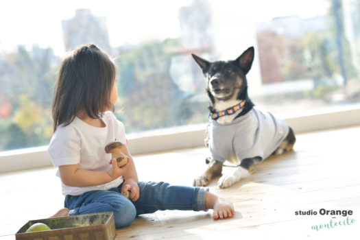 箕面市　お誕生日撮影　犬