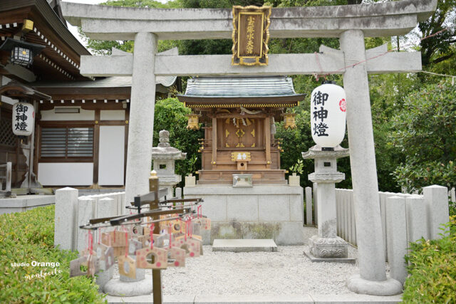 伊和志津神社　出張撮影　ロケーション撮影