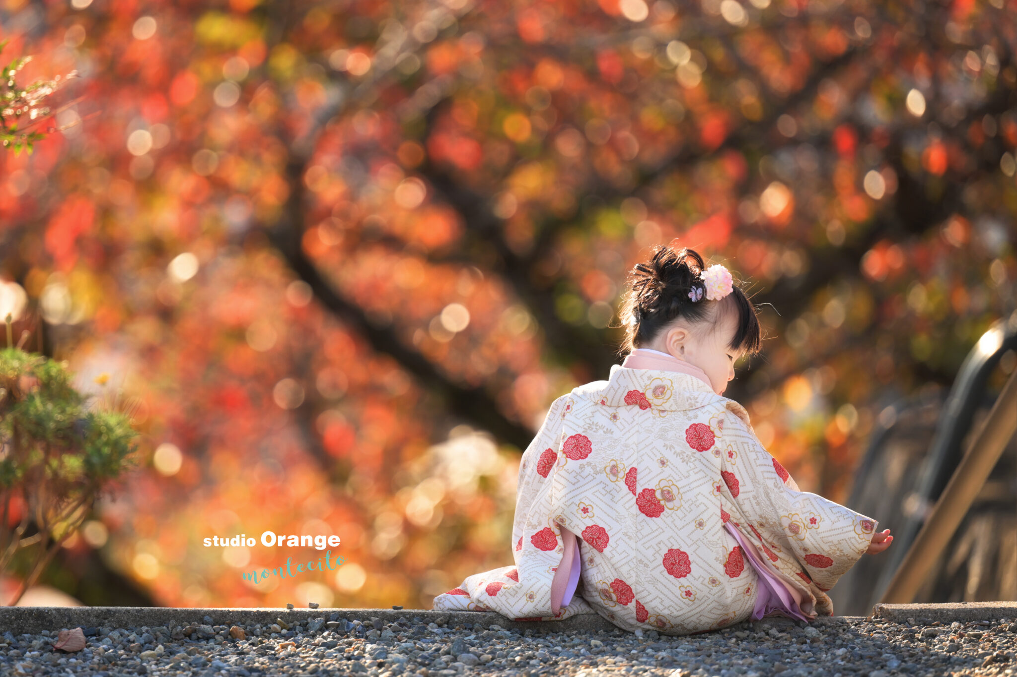 中山寺　七五三　３歳女の子