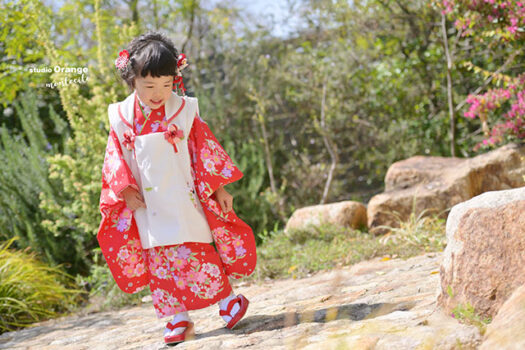 3歳女の子七五三撮影