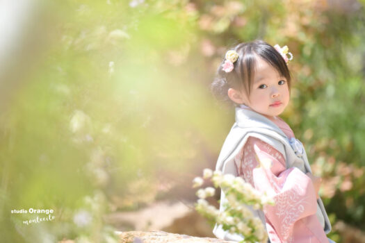 3歳女の子七五三前撮り