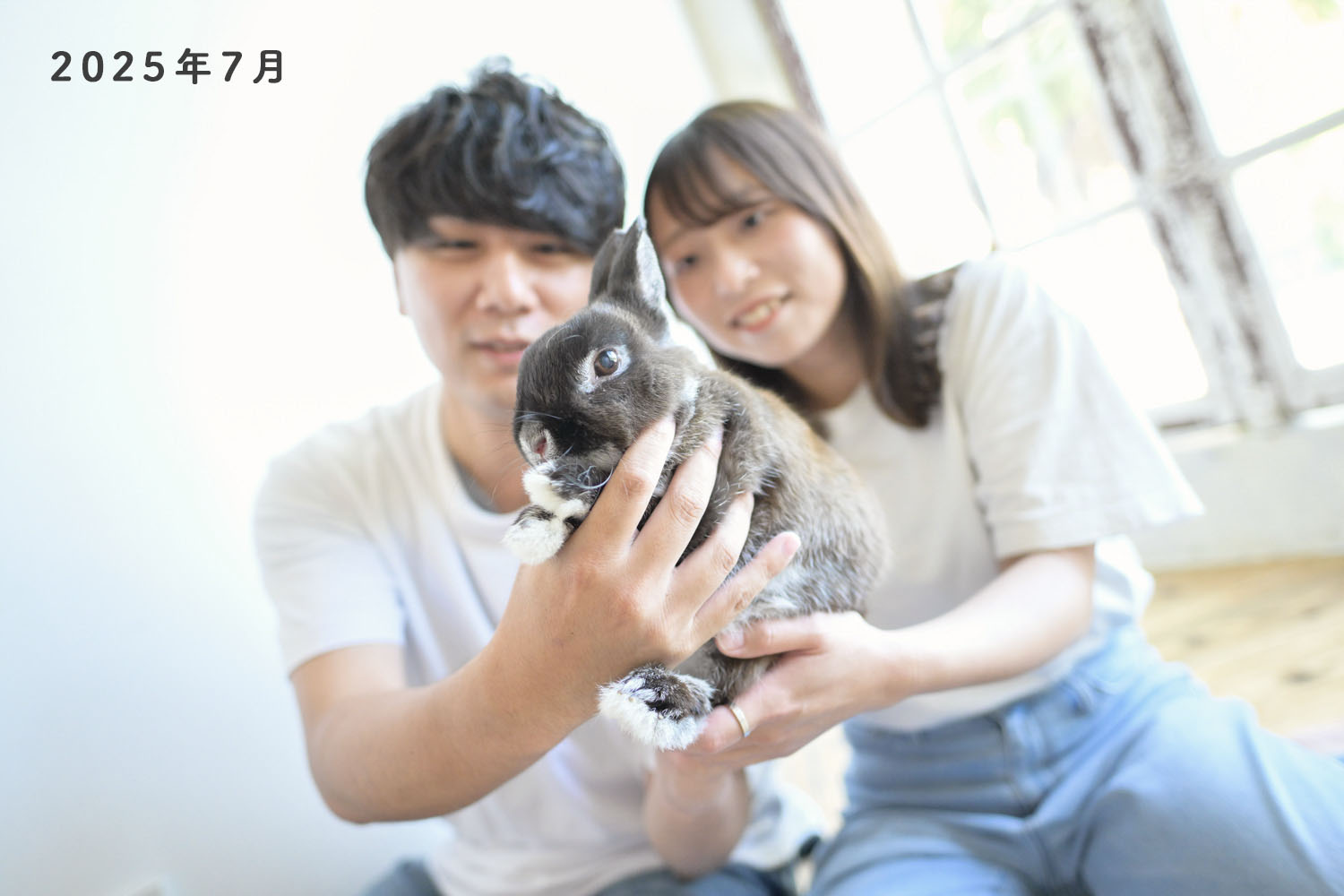 宝塚市うさぎちゃんのペット撮影