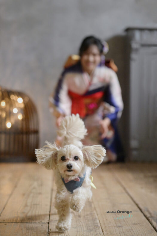 ペットと一緒に成人式前撮り