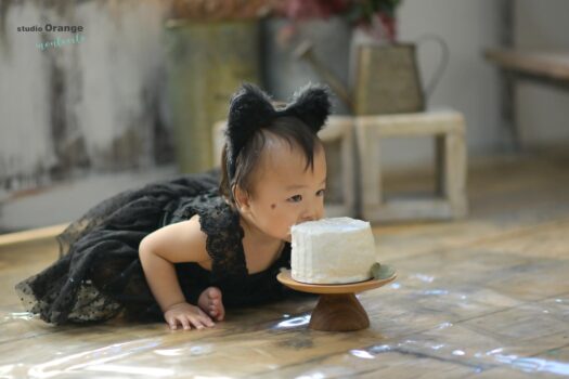 スマッシュケーキ　宝塚市写真館