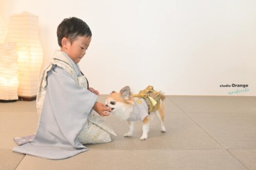 七五三　3歳男の子　宝塚市写真館