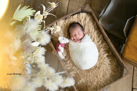 ニューボーンフォト 宝塚市写真館