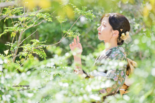 振袖で成人式撮影