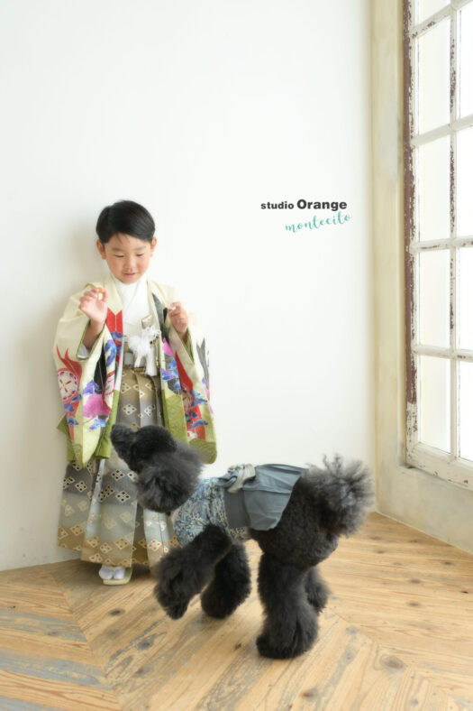 ペットと一緒に七五三撮影