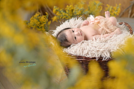 お宮参り撮影でミモザと撮影