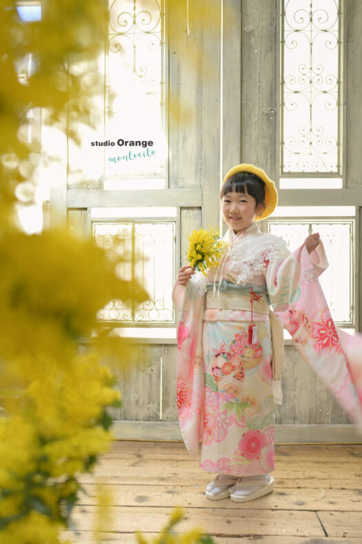 ミモザと七五三後撮り撮影