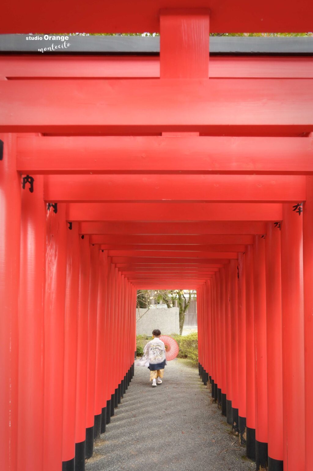 多田神社 七五三 出張撮影