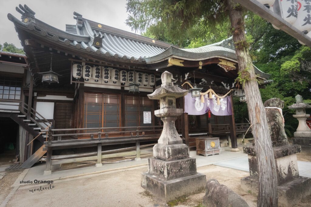 宝塚神社 七五三 出張撮影
